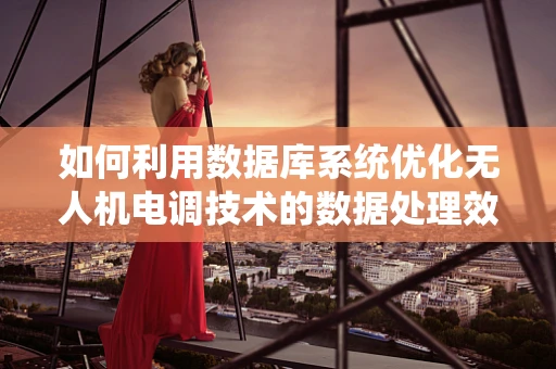 如何利用数据库系统优化无人机电调技术的数据处理效率？