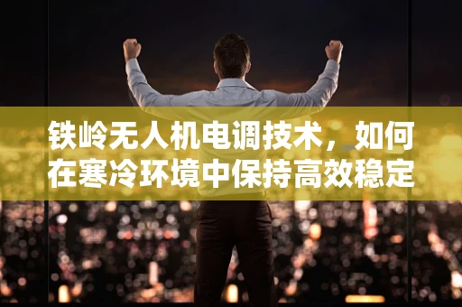 铁岭无人机电调技术，如何在寒冷环境中保持高效稳定？