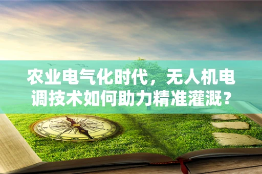 农业电气化时代，无人机电调技术如何助力精准灌溉？