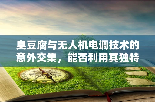臭豆腐与无人机电调技术的意外交集，能否利用其独特气味进行精准定位？
