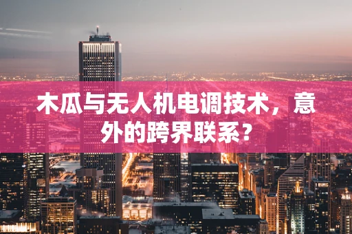 木瓜与无人机电调技术，意外的跨界联系？