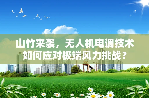 山竹来袭，无人机电调技术如何应对极端风力挑战？