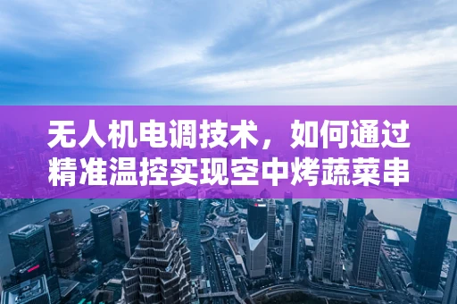 无人机电调技术，如何通过精准温控实现空中烤蔬菜串的完美烹饪？