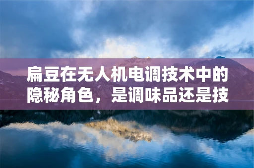 扁豆在无人机电调技术中的隐秘角色，是调味品还是技术添加剂？