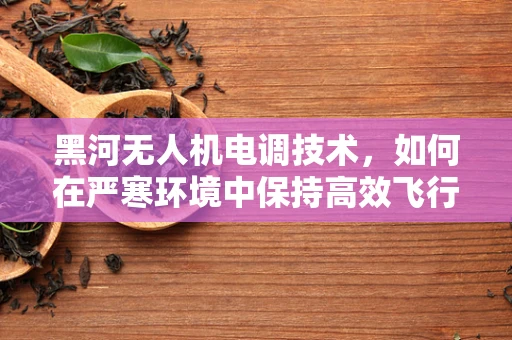 黑河无人机电调技术，如何在严寒环境中保持高效飞行？