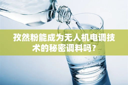 孜然粉能成为无人机电调技术的秘密调料吗？
