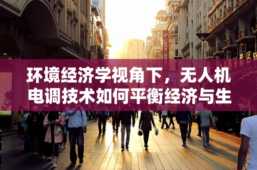 环境经济学视角下，无人机电调技术如何平衡经济与生态？