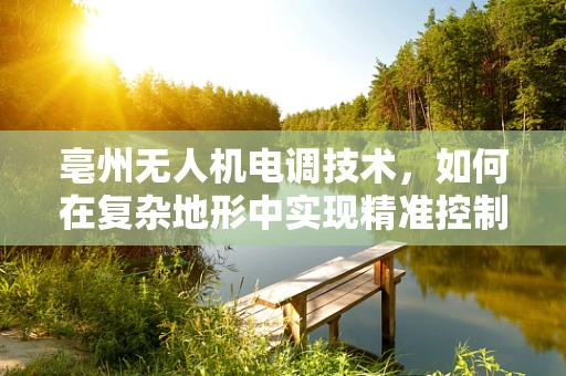 亳州无人机电调技术，如何在复杂地形中实现精准控制？