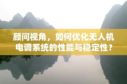 顾问视角，如何优化无人机电调系统的性能与稳定性？