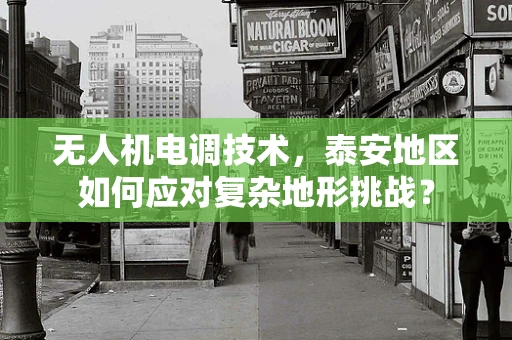 无人机电调技术，泰安地区如何应对复杂地形挑战？