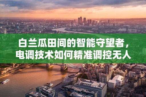 白兰瓜田间的智能守望者，电调技术如何精准调控无人机喷洒？