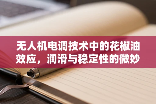 无人机电调技术中的花椒油效应，润滑与稳定性的微妙平衡