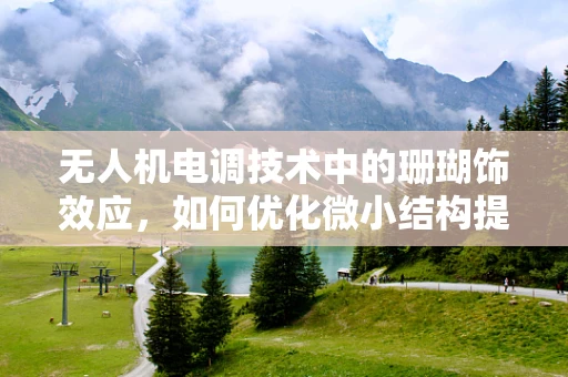 无人机电调技术中的珊瑚饰效应，如何优化微小结构提升性能？