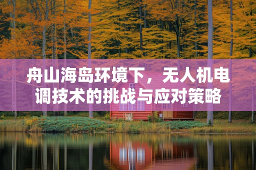 舟山海岛环境下，无人机电调技术的挑战与应对策略