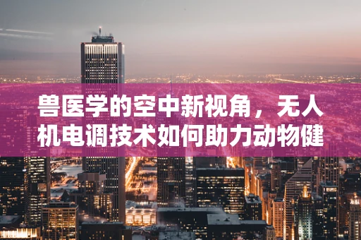 兽医学的空中新视角，无人机电调技术如何助力动物健康监测？
