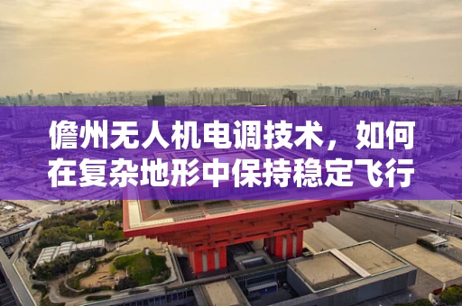 儋州无人机电调技术，如何在复杂地形中保持稳定飞行？