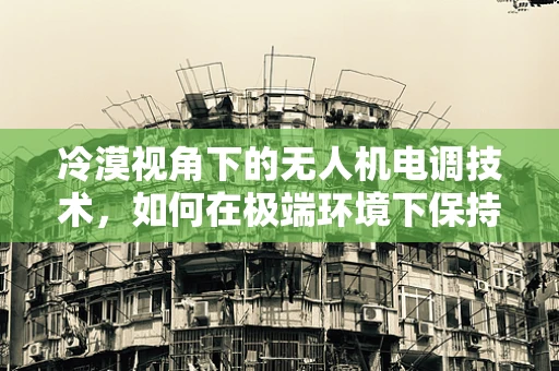 冷漠视角下的无人机电调技术，如何在极端环境下保持稳定？