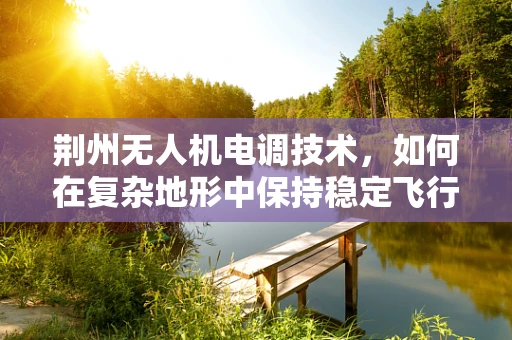 荆州无人机电调技术，如何在复杂地形中保持稳定飞行？