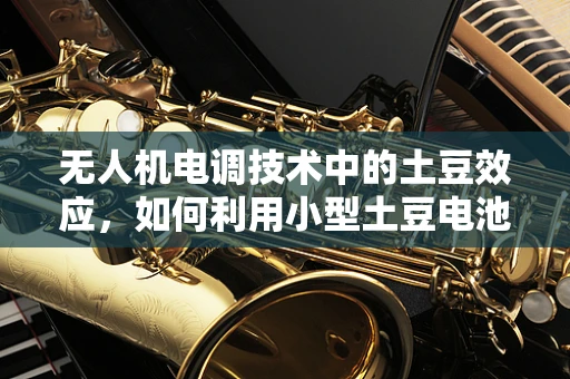 无人机电调技术中的土豆效应，如何利用小型土豆电池为无人机供电？