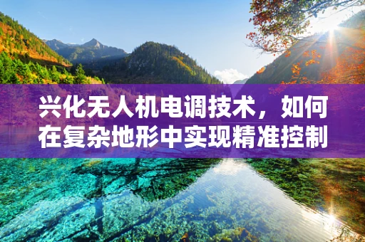 兴化无人机电调技术，如何在复杂地形中实现精准控制？