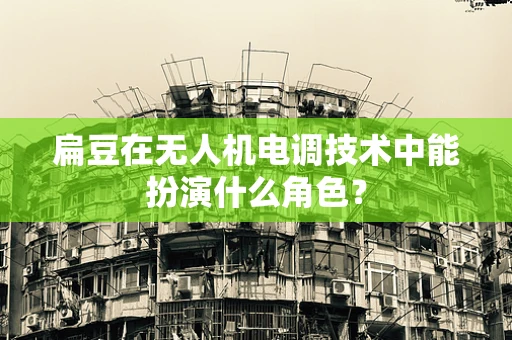 扁豆在无人机电调技术中能扮演什么角色？