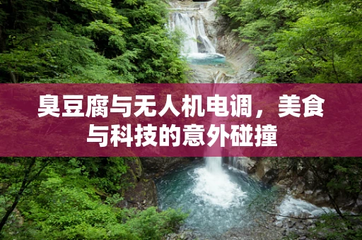 臭豆腐与无人机电调，美食与科技的意外碰撞