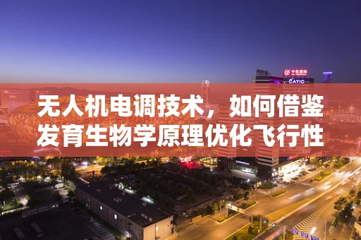 无人机电调技术，如何借鉴发育生物学原理优化飞行性能？