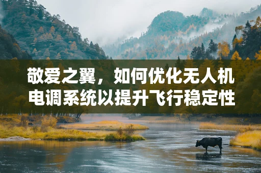 敬爱之翼，如何优化无人机电调系统以提升飞行稳定性？