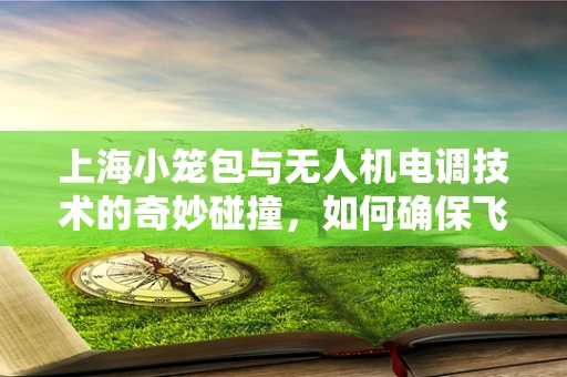 上海小笼包与无人机电调技术的奇妙碰撞，如何确保飞行中的美味安全送达？