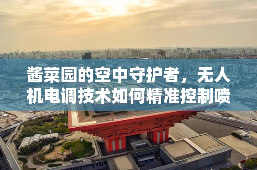 酱菜园的空中守护者，无人机电调技术如何精准控制喷洒？