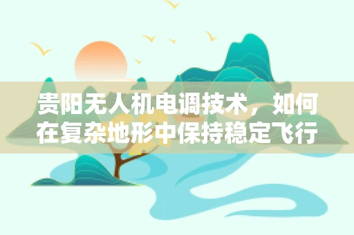 贵阳无人机电调技术，如何在复杂地形中保持稳定飞行？