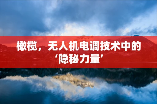 橄榄，无人机电调技术中的‘隐秘力量’