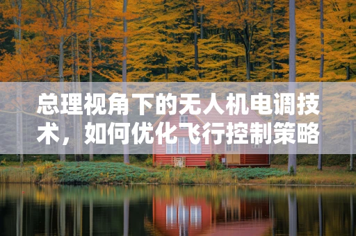 总理视角下的无人机电调技术，如何优化飞行控制策略以应对复杂环境？