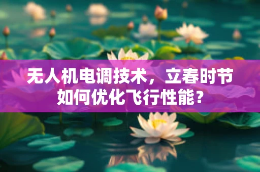 无人机电调技术，立春时节如何优化飞行性能？