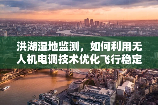 洪湖湿地监测，如何利用无人机电调技术优化飞行稳定性？