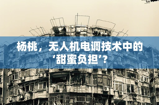 杨桃，无人机电调技术中的‘甜蜜负担’？
