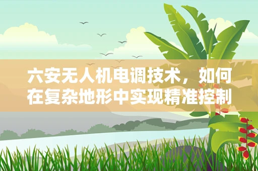 六安无人机电调技术，如何在复杂地形中实现精准控制？