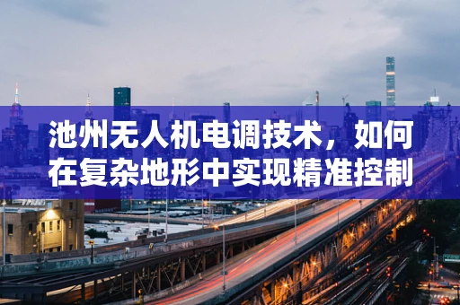 池州无人机电调技术，如何在复杂地形中实现精准控制？