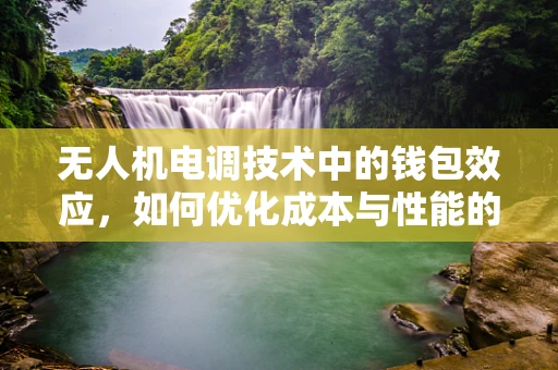 无人机电调技术中的钱包效应，如何优化成本与性能的平衡？