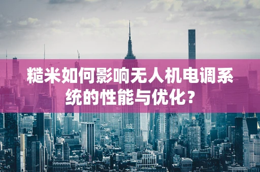 糙米如何影响无人机电调系统的性能与优化？