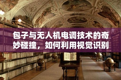 包子与无人机电调技术的奇妙碰撞，如何利用视觉识别优化避障？