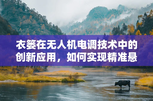 衣篓在无人机电调技术中的创新应用，如何实现精准悬挂与稳定控制？