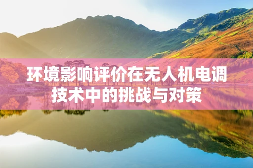 环境影响评价在无人机电调技术中的挑战与对策