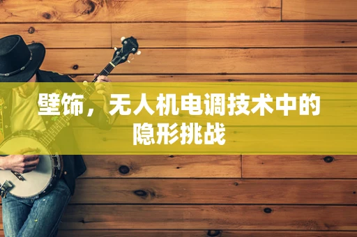 壁饰，无人机电调技术中的隐形挑战
