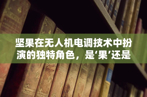 坚果在无人机电调技术中扮演的独特角色，是‘果’还是‘核’？