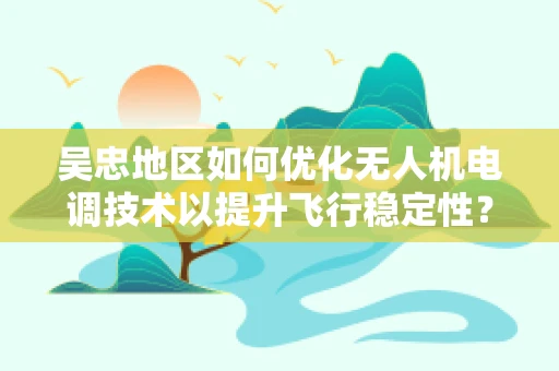 吴忠地区如何优化无人机电调技术以提升飞行稳定性？