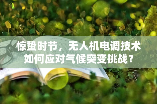 惊蛰时节，无人机电调技术如何应对气候突变挑战？