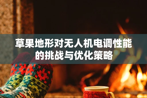 草果地形对无人机电调性能的挑战与优化策略
