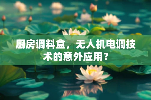 厨房调料盒，无人机电调技术的意外应用？