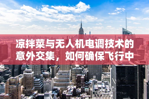 凉拌菜与无人机电调技术的意外交集，如何确保飞行中的‘调味’精准无误？